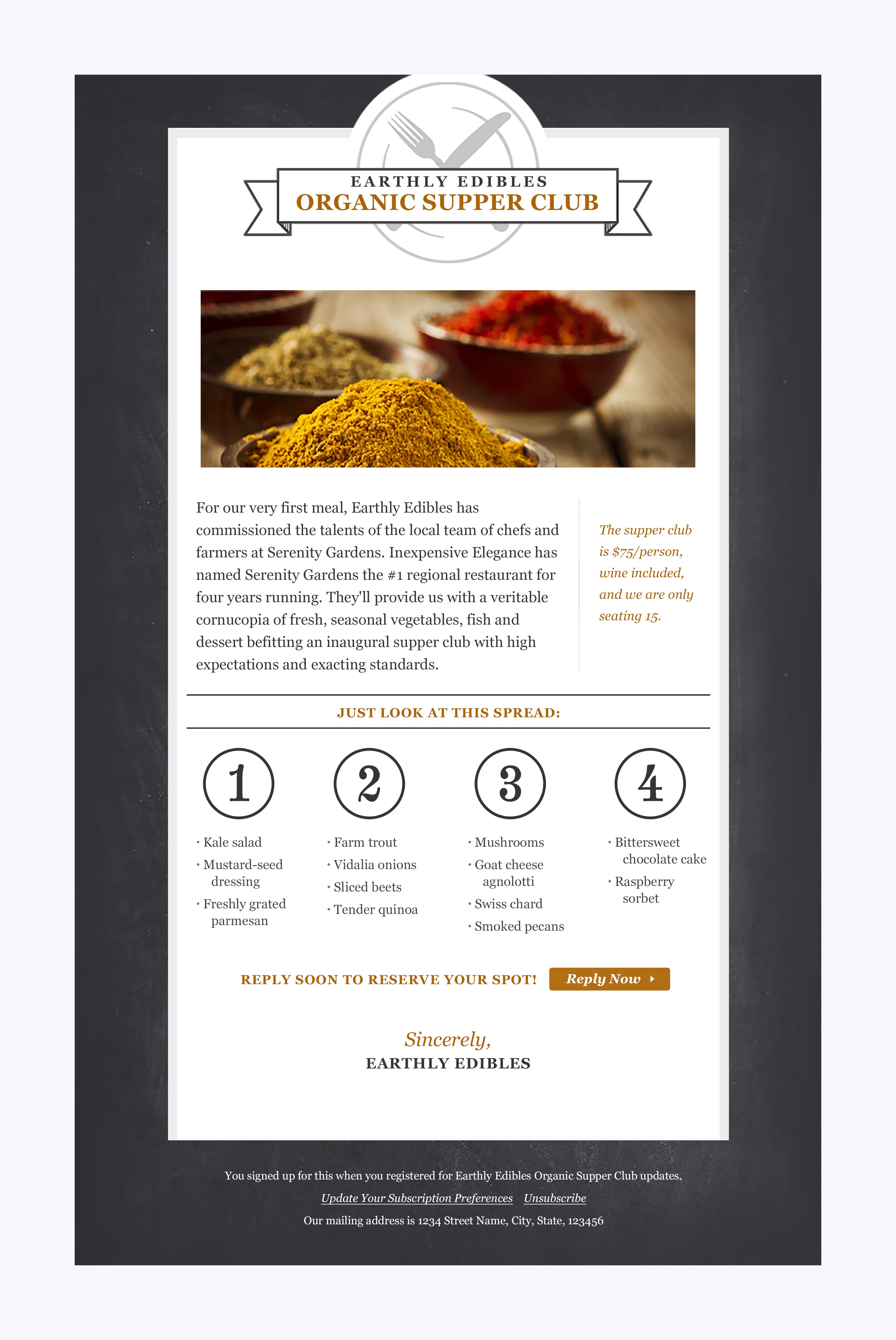 MailChimp - Email Design Template 1