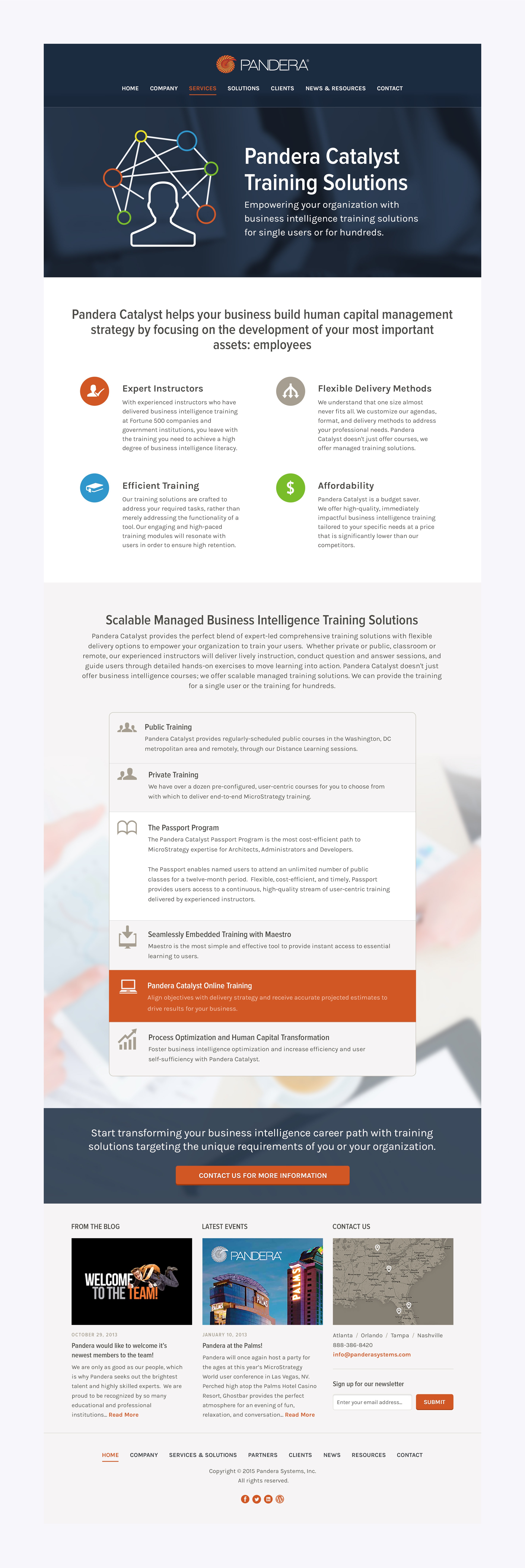 Pandera Systems - Services Page Design
