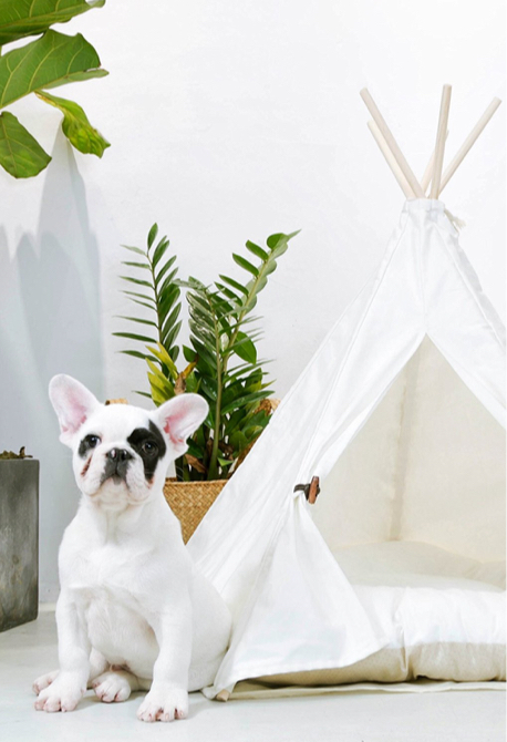 Pet Teepee House