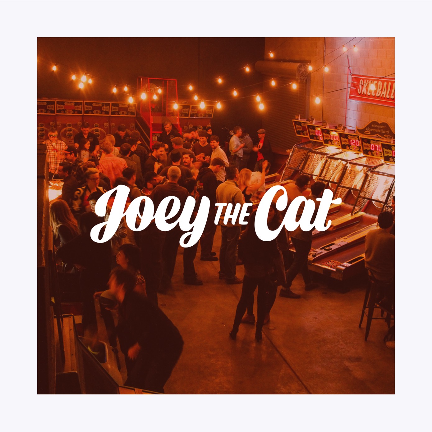 Joey the Cat - Branding